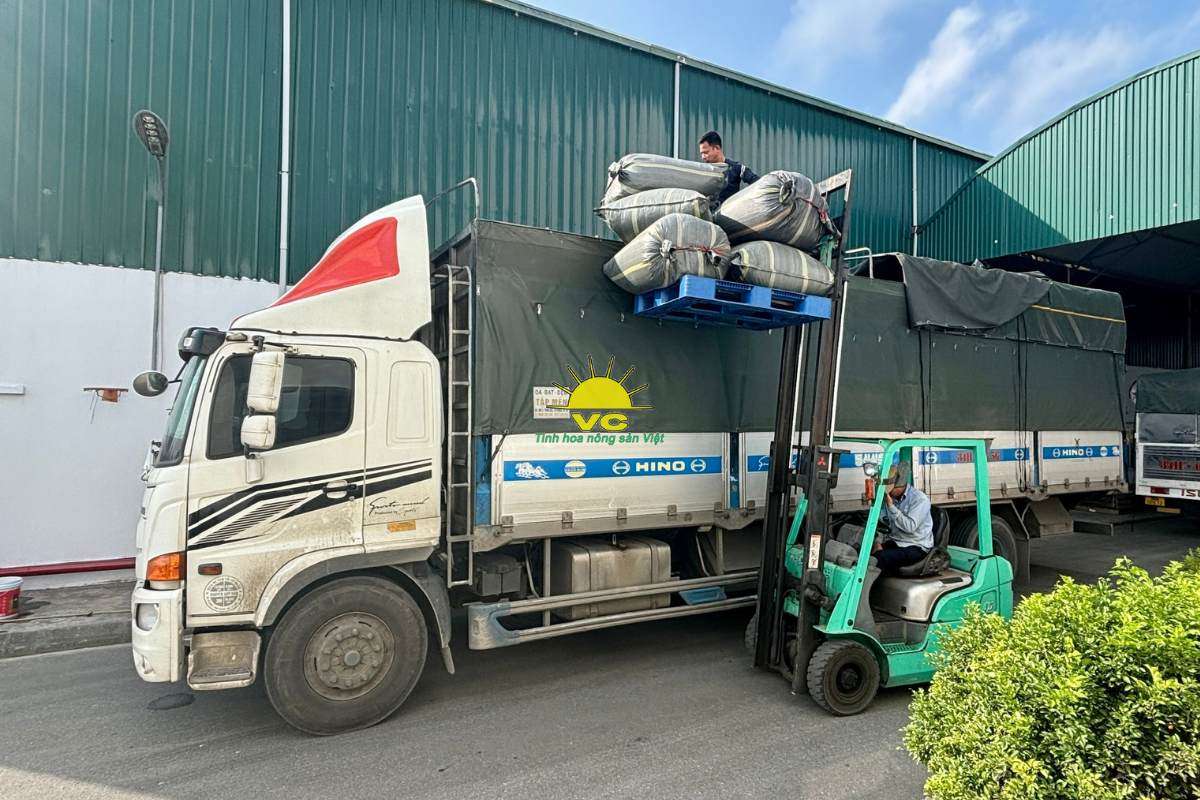 Công ty Vũ Công – Hành trình đưa nông sản Việt ra thế giới