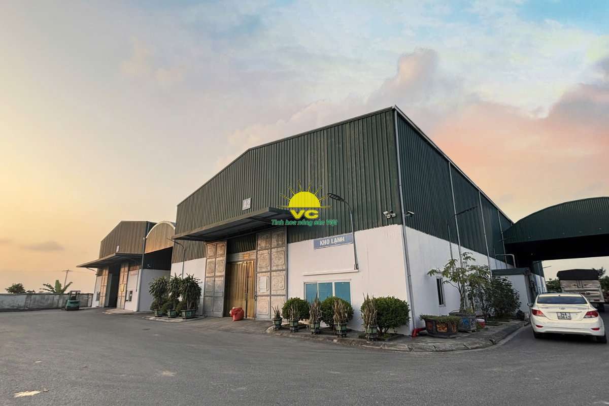 Công ty Vũ Công – Hành trình đưa nông sản Việt ra thế giới