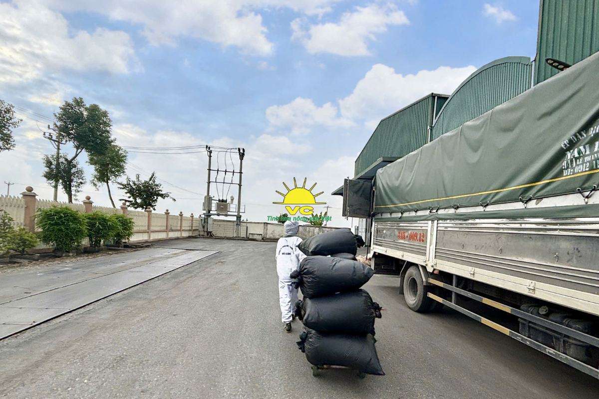 Công ty Vũ Công – Hành trình đưa nông sản Việt ra thế giới