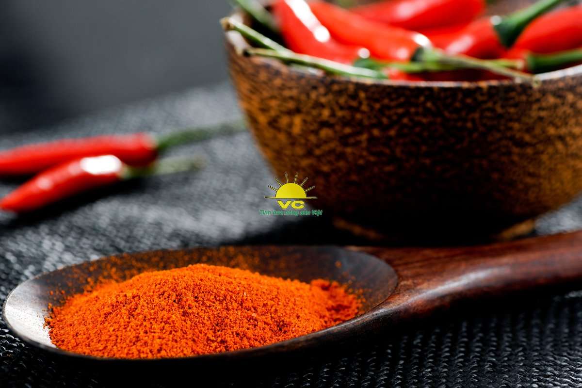 Công ty Vũ Công và mô hình liên kết 3 bên: Nông dân – Doanh nghiệp – Thị trường