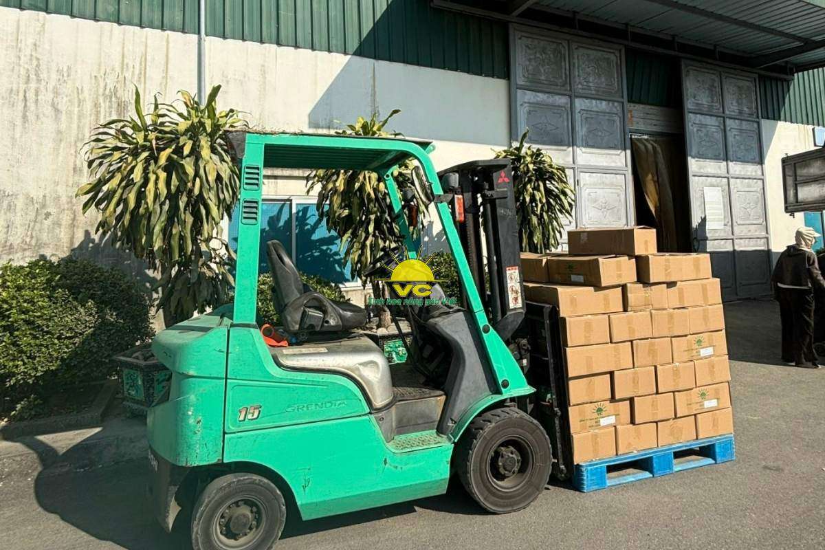 Công ty Vũ Công và mô hình liên kết 3 bên: Nông dân – Doanh nghiệp – Thị trường