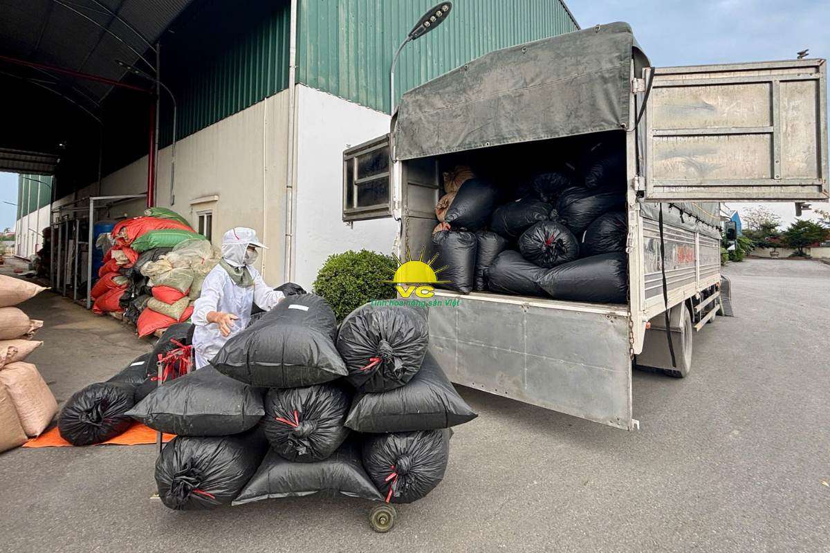 Công ty Vũ Công và mô hình liên kết 3 bên: Nông dân – Doanh nghiệp – Thị trường