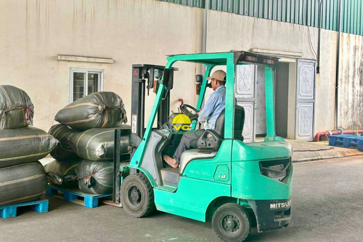 Công ty Vũ Công và mô hình liên kết 3 bên: Nông dân – Doanh nghiệp – Thị trường