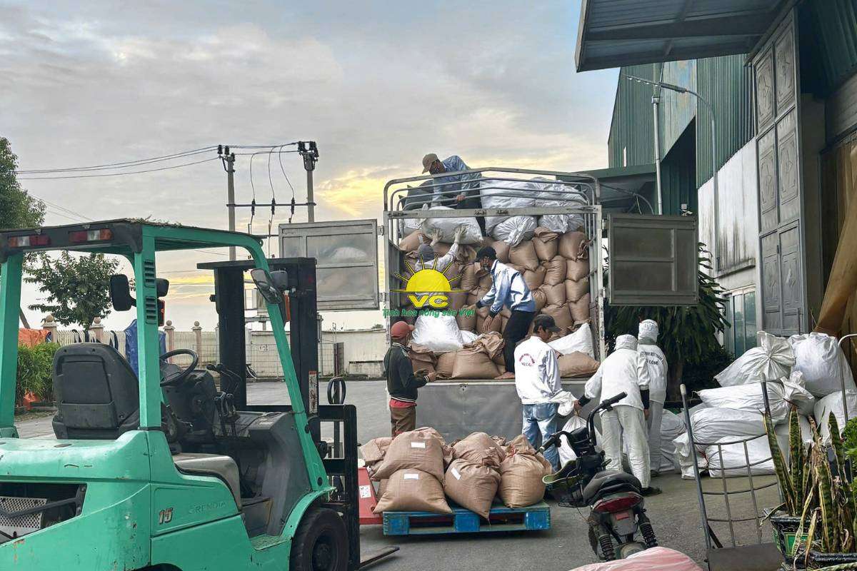 Công ty Vũ Công và một đơn hàng lớn: Lời cam kết về chất lượng và uy tín giữa hai doanh nghiệp