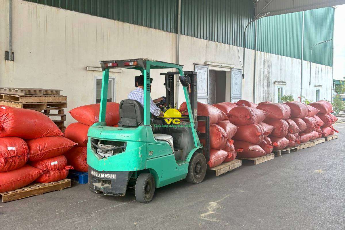 Đổi mới công nghệ chế biến – Bước tiến của nhà máy Vũ Công trong kỷ nguyên số