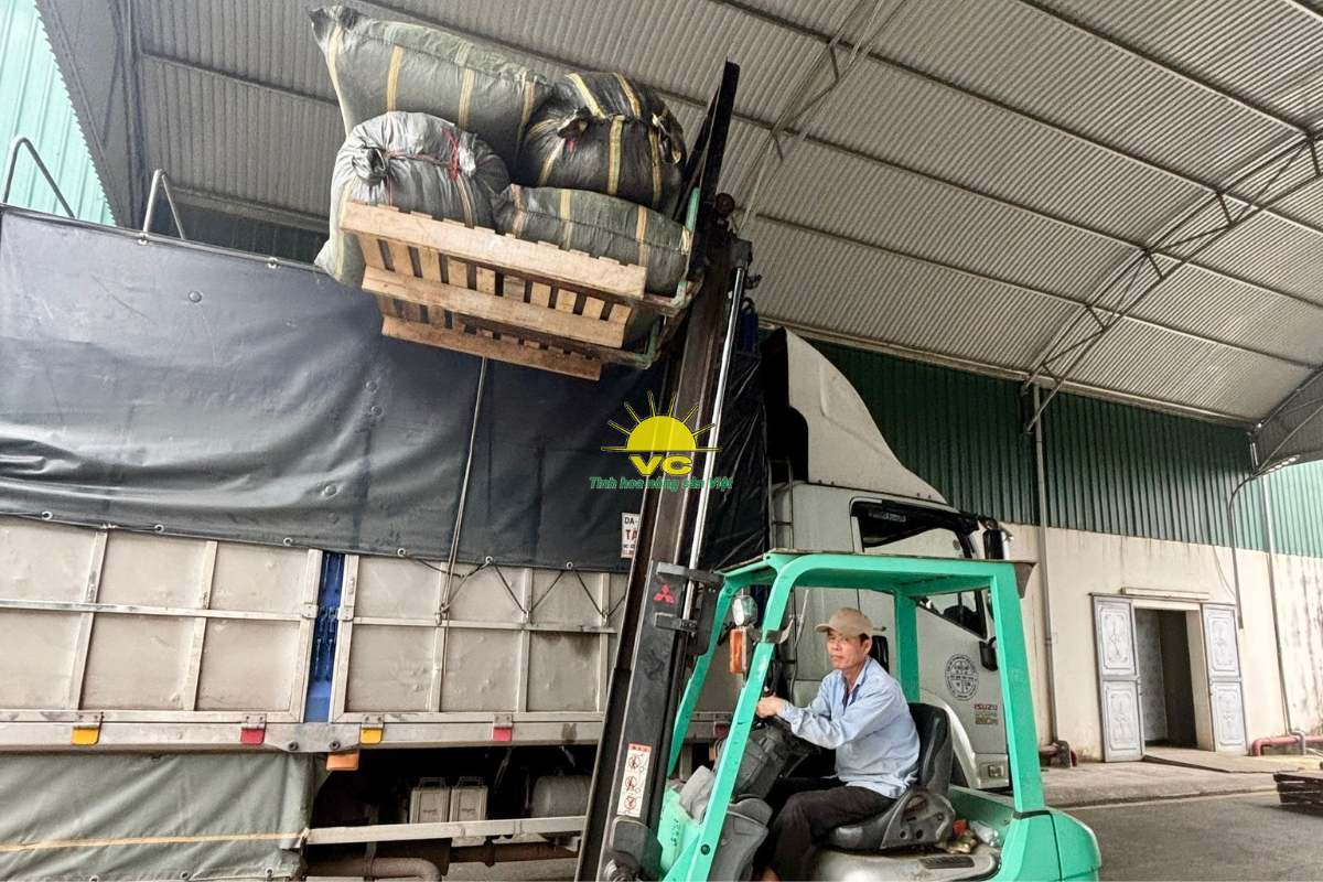 Đổi mới và chuyển đổi số trong sản xuất của nhà máy Vũ Công – Khi công nghệ gắn liền với thương hiệu