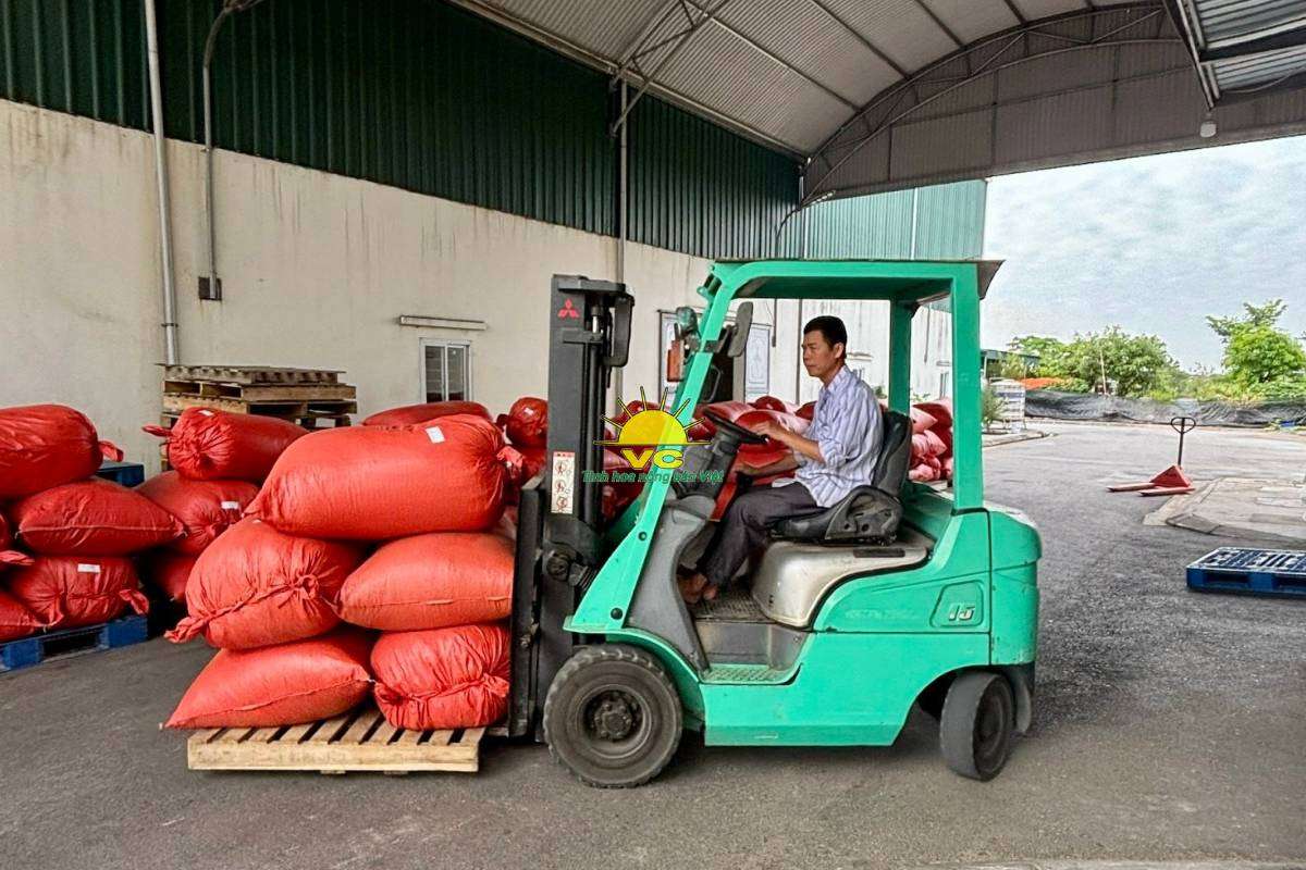 Đổi mới và chuyển đổi số trong sản xuất của nhà máy Vũ Công – Khi công nghệ gắn liền với thương hiệu