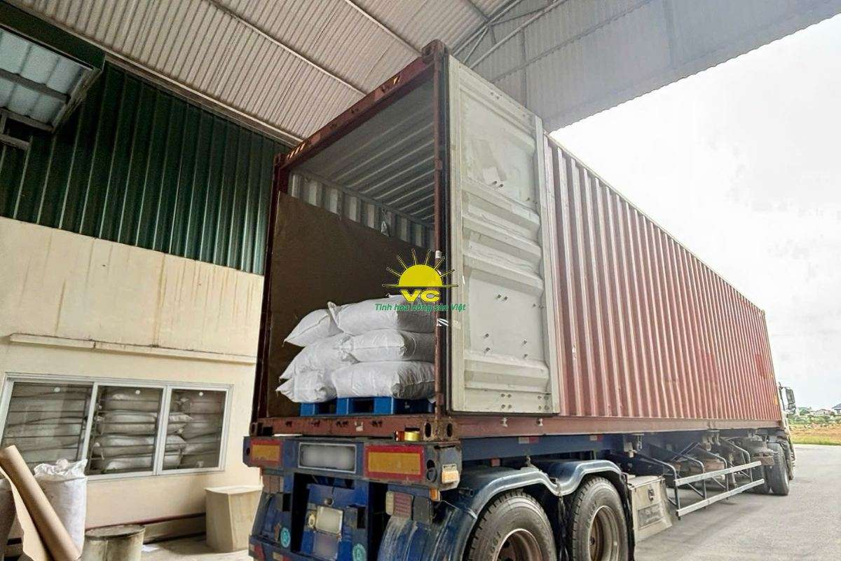 Nhà máy Vũ Công – Đằng sau mỗi mùa bão là câu chuyện về sự đồng hành thật sự giữa hai doanh nghiệp