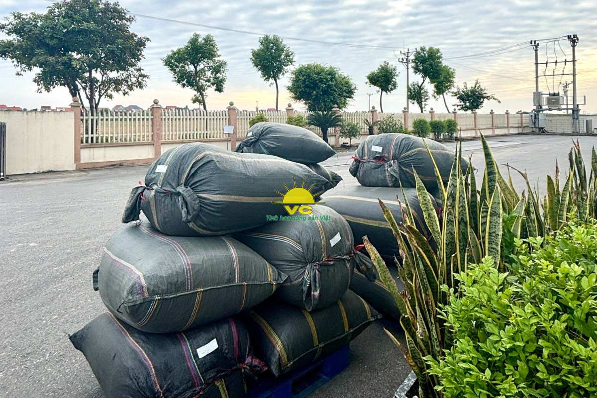 Nhà máy Vũ Công – Đằng sau mỗi mùa bão là câu chuyện về sự đồng hành thật sự giữa hai doanh nghiệp