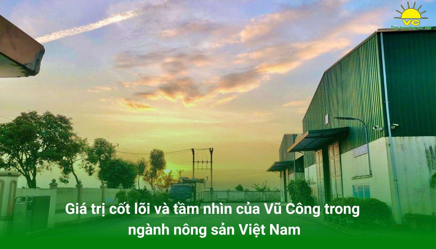 Giá trị cốt lõi và tầm nhìn của Vũ Công trong ngành nông sản Việt Nam