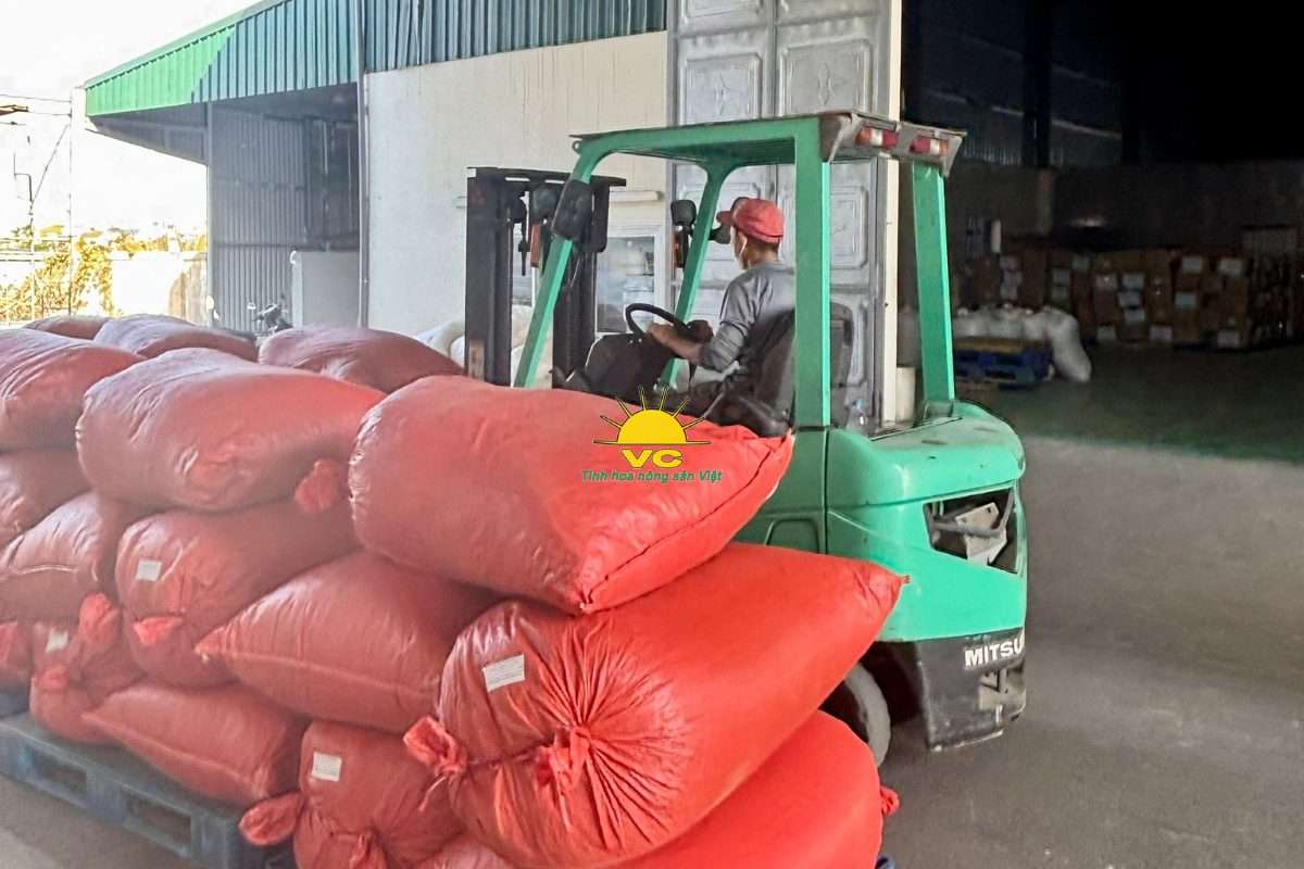 Hành trình bền vững của Vũ Công: Từ vùng nguyên liệu xanh đến sản phẩm sạch cho tương lai