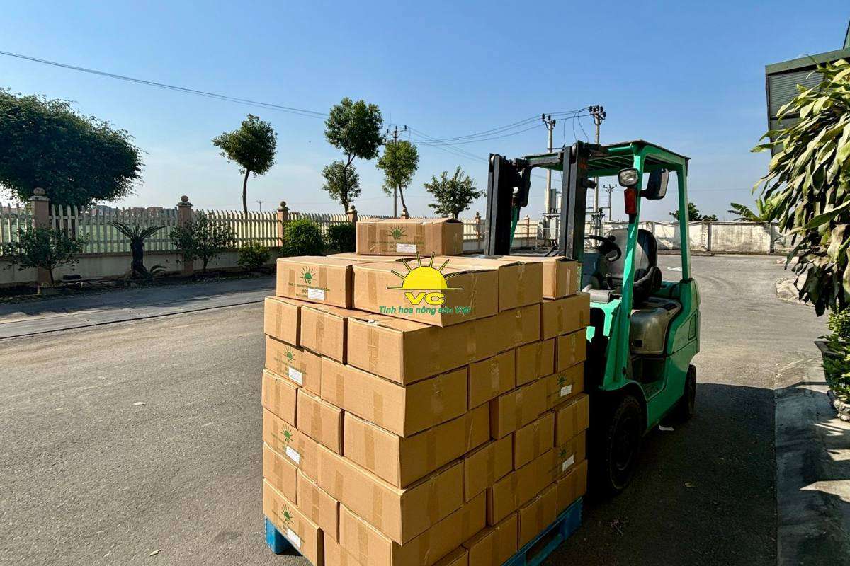 Hành trình bền vững của Vũ Công: Từ vùng nguyên liệu xanh đến sản phẩm sạch cho tương lai