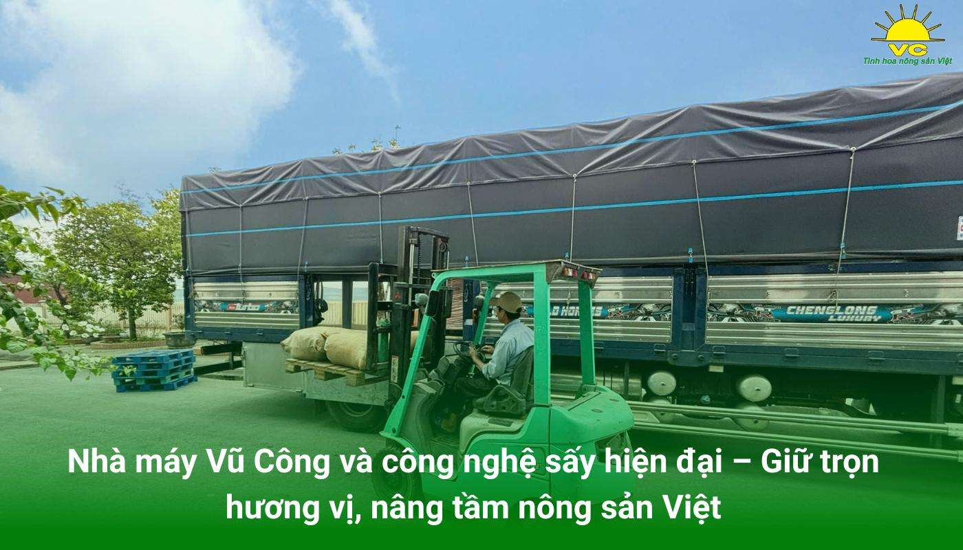 Nhà máy Vũ Công và công nghệ sấy hiện đại – Giữ trọn hương vị, nâng tầm nông sản Việt