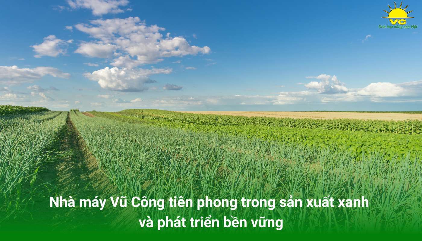 Nhà máy Vũ Công tiên phong trong sản xuất xanh và phát triển bền vững