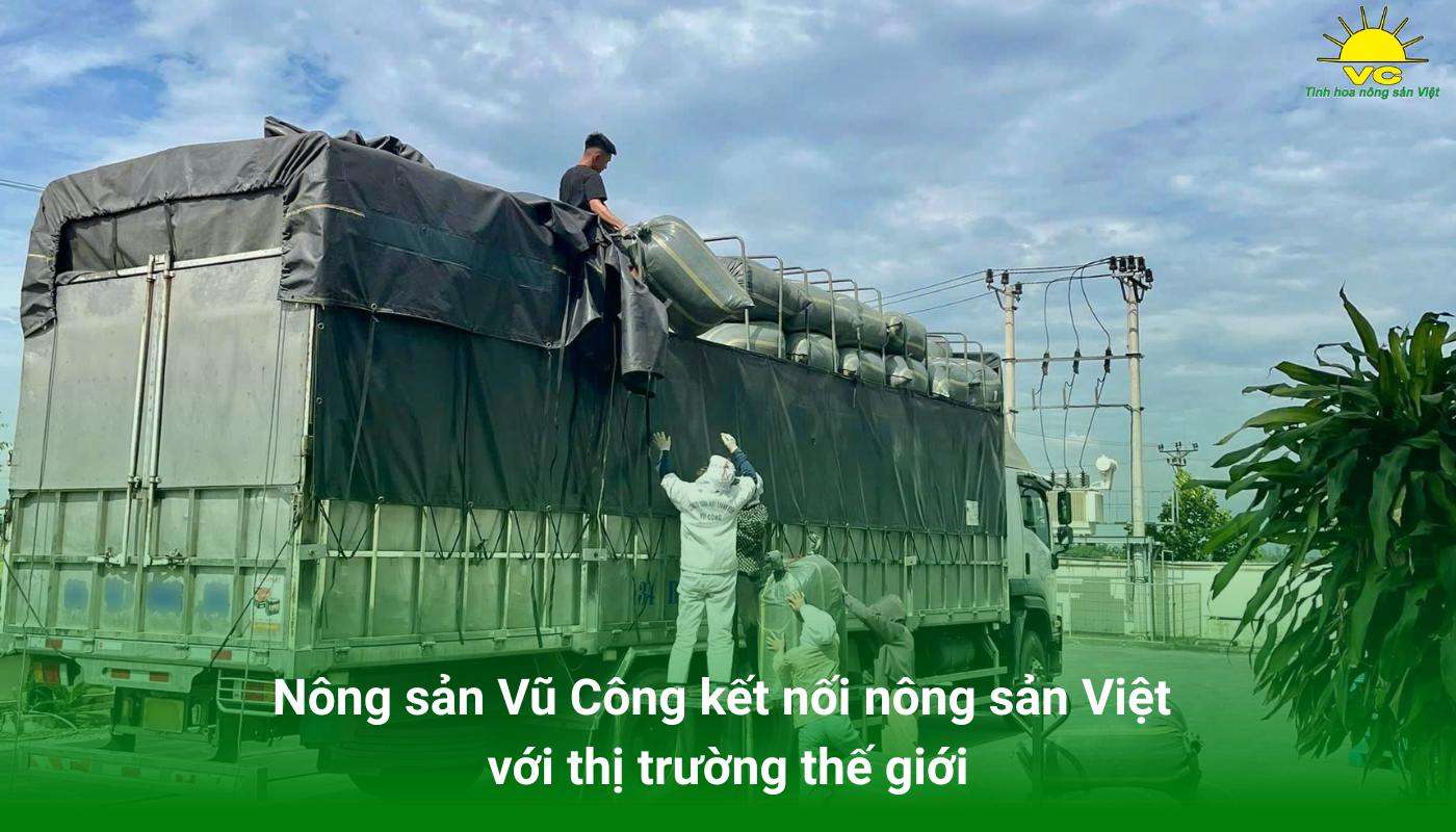 Nông sản Vũ Công kết nối nông sản Việt với thị trường thế giới