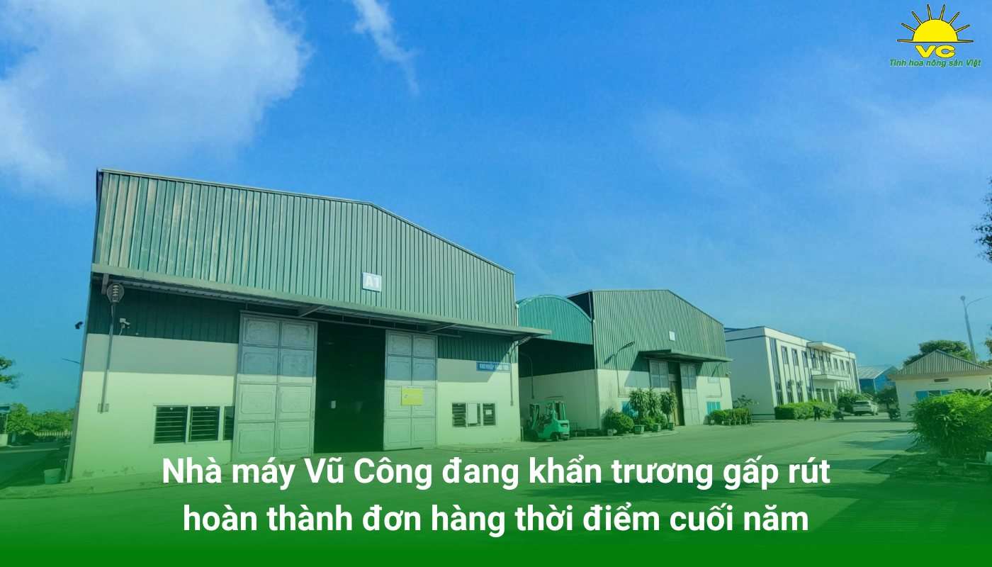 Nhà máy Vũ Công đang khẩn trương gấp rút hoàn thành đơn hàng thời điểm cuối năm