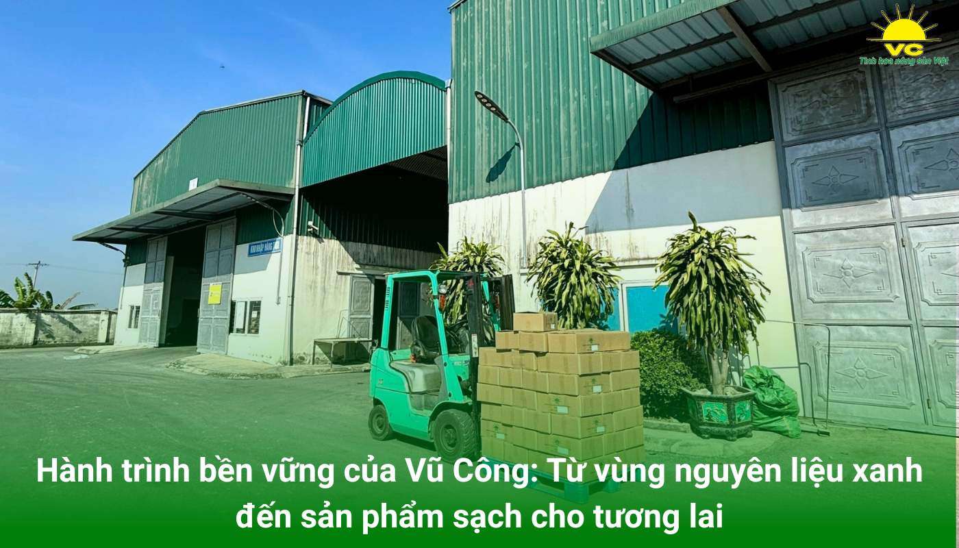 Hành trình bền vững của Vũ Công: Từ vùng nguyên liệu xanh đến sản phẩm sạch cho tương lai