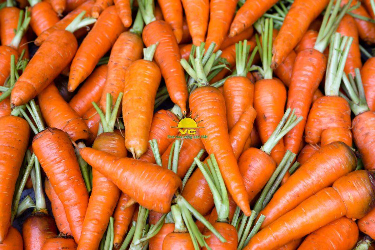 Tại sao nhà máy Vũ Công trở thành đối tác tin cậy của nông dân trong tiêu thụ sản phẩm?