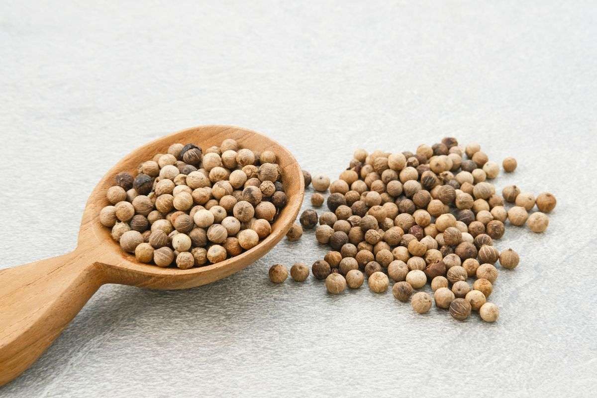 Nhận Biết Tiêu Đen Và Tiêu Trắng Chính Xác Nhất (Đừng nhầm khi mua và nấu)