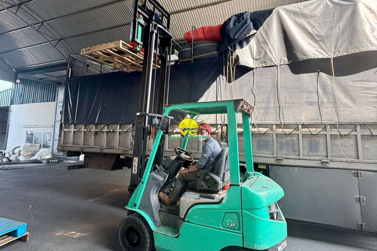 Vũ Công không chỉ sản xuất – Chúng tôi kể chuyện bằng nông sản đạt chuẩn xuất khẩu