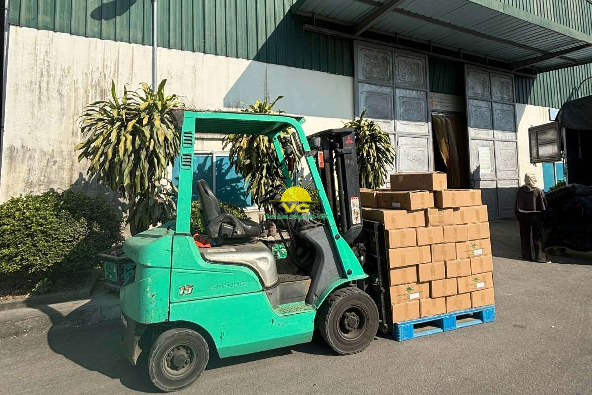 Vũ Công không chỉ sản xuất – Chúng tôi kể chuyện bằng nông sản đạt chuẩn xuất khẩu