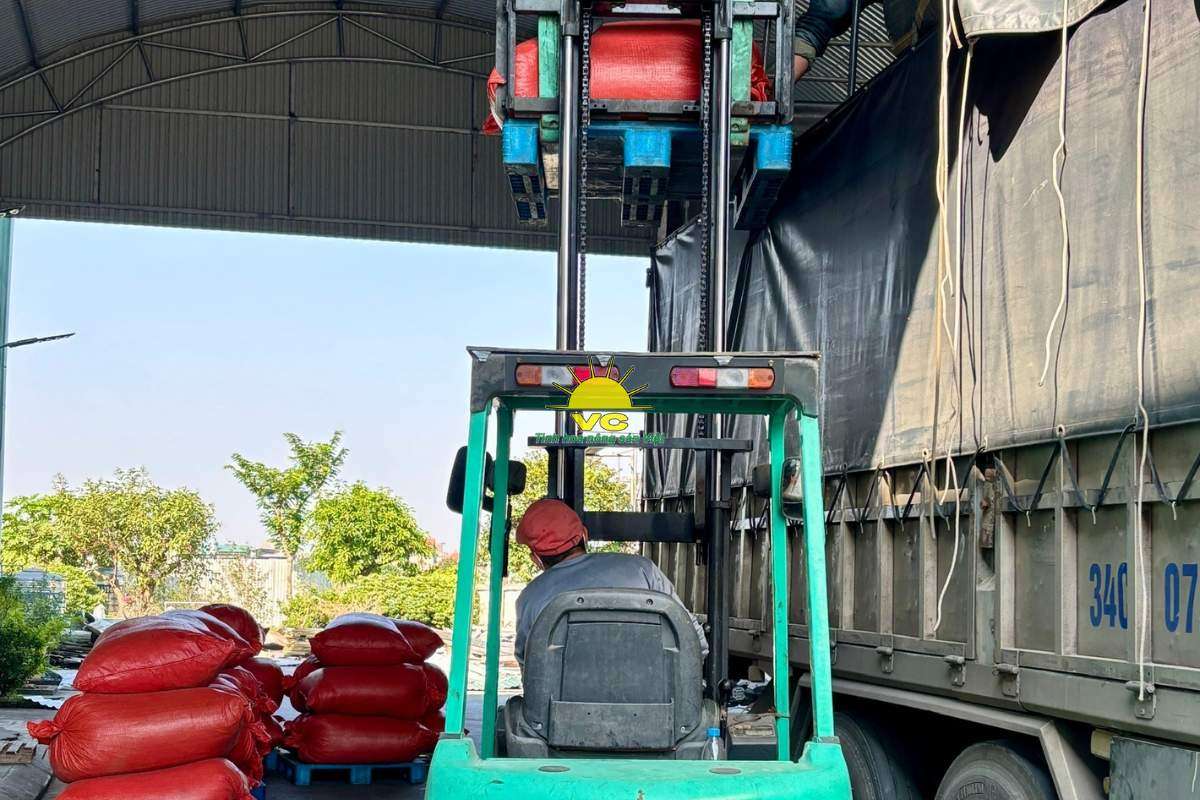 Vũ Công không chỉ sản xuất – Chúng tôi kể chuyện bằng nông sản đạt chuẩn xuất khẩu