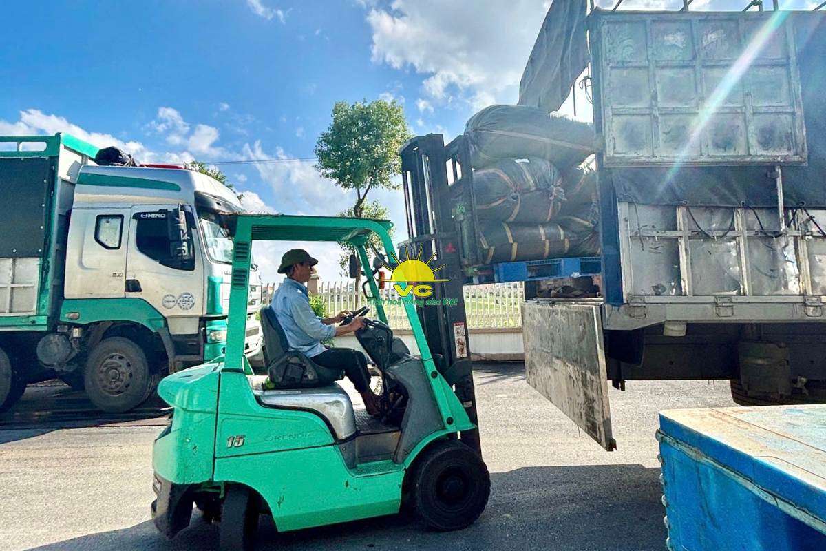 Nhà máy Vũ Công tiên phong trong sản xuất xanh và phát triển bền vững