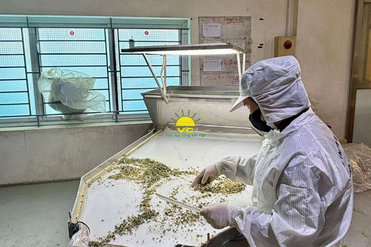 Giá tốt là lợi thế, nhưng sự ổn định mới là giá trị mà đối tác ở lại cùng công ty Vũ Công