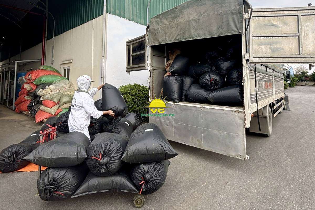 Giá tốt là lợi thế, nhưng sự ổn định mới là giá trị mà đối tác ở lại cùng công ty Vũ Công