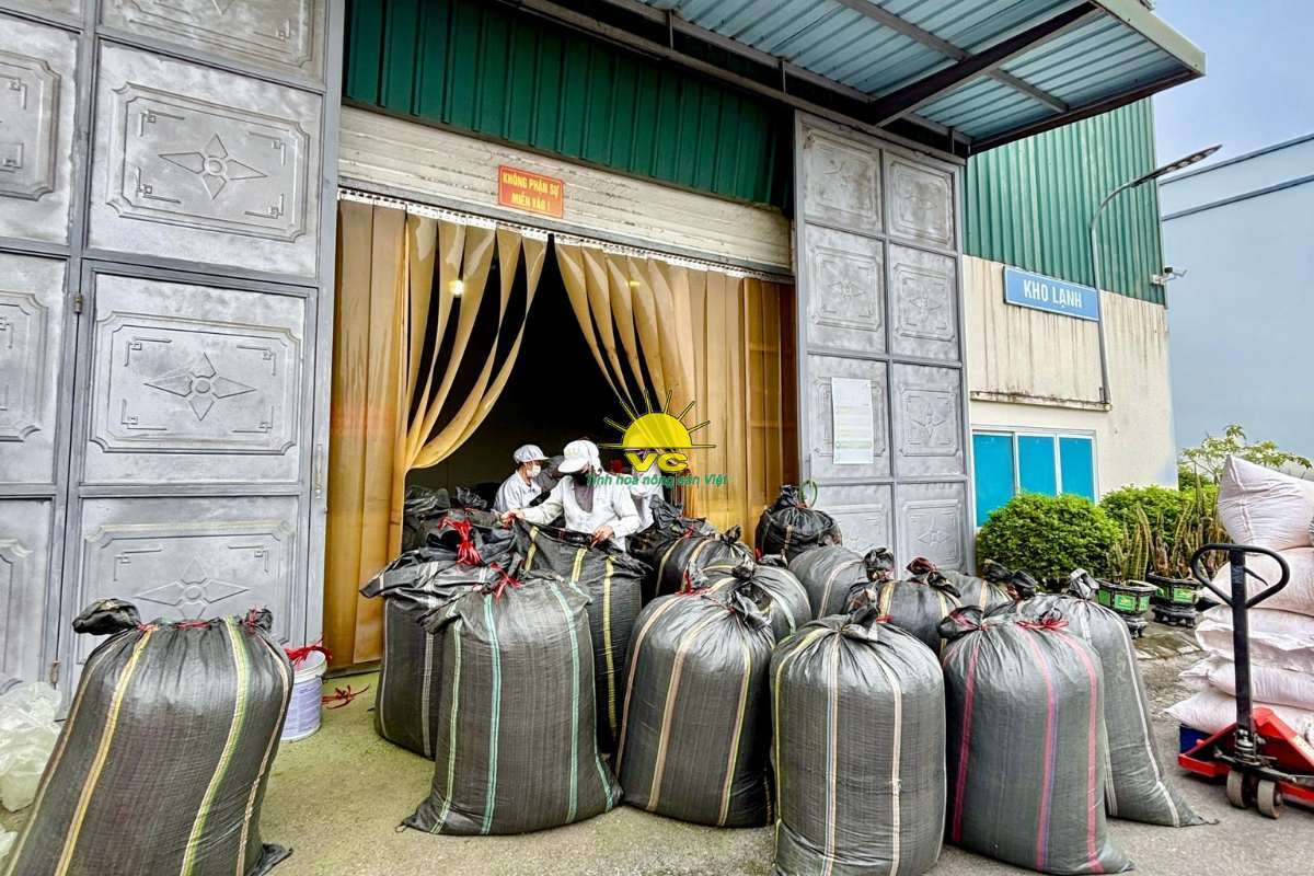 Thế hệ kế thừa Vũ Công – Khi người trẻ viết tiếp giấc mơ nông sản Việt