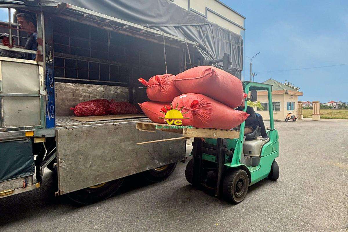 Tự hào nông sản Việt khẳng định vị thế của mình trên bản đồ xuất khẩu thế giới