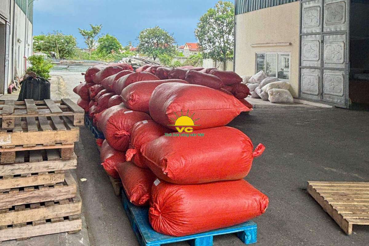 Tự hào nông sản Việt khẳng định vị thế của mình trên bản đồ xuất khẩu thế giới