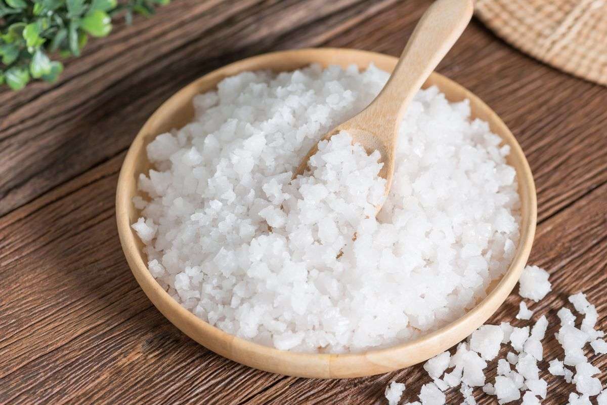 Top Gia Vị Việt Phổ Biến Nhất: Hiểu Đúng Để Nấu Món Việt Chuẩn Vị