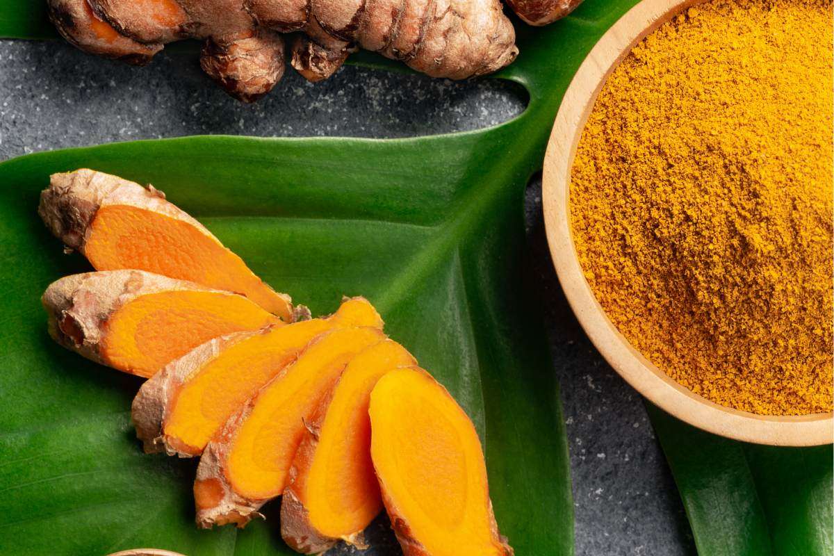 Mua Nông Sản Sấy Khô Số Lượng Lớn Ở Đâu Để Tối Ưu Chi Phí Và Đảm Bảo Chất Lượng?