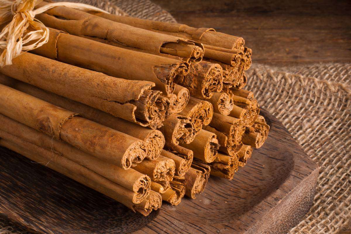 Mua Nông Sản Sấy Khô Số Lượng Lớn Ở Đâu Để Tối Ưu Chi Phí Và Đảm Bảo Chất Lượng?