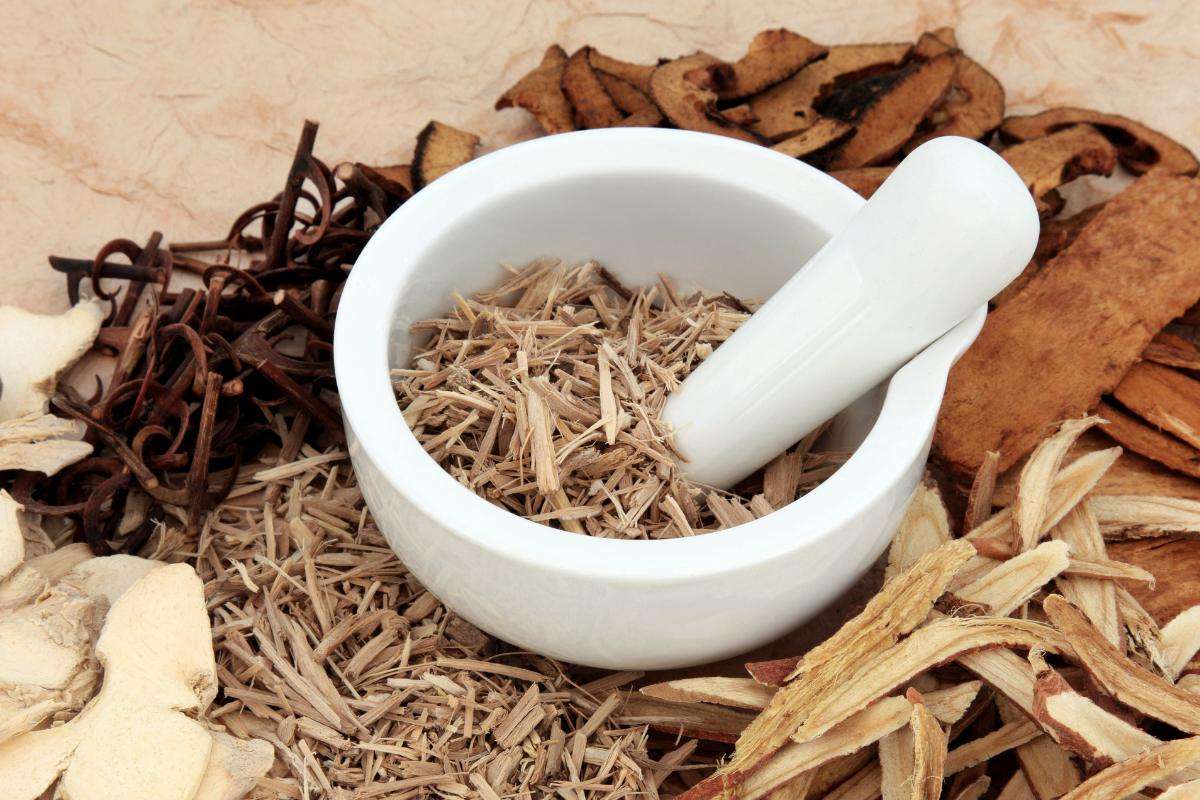 Sấy Gia Công Nông Sản Là Gì? Giải Pháp Gia Tăng Giá Trị Sau Thu Hoạch