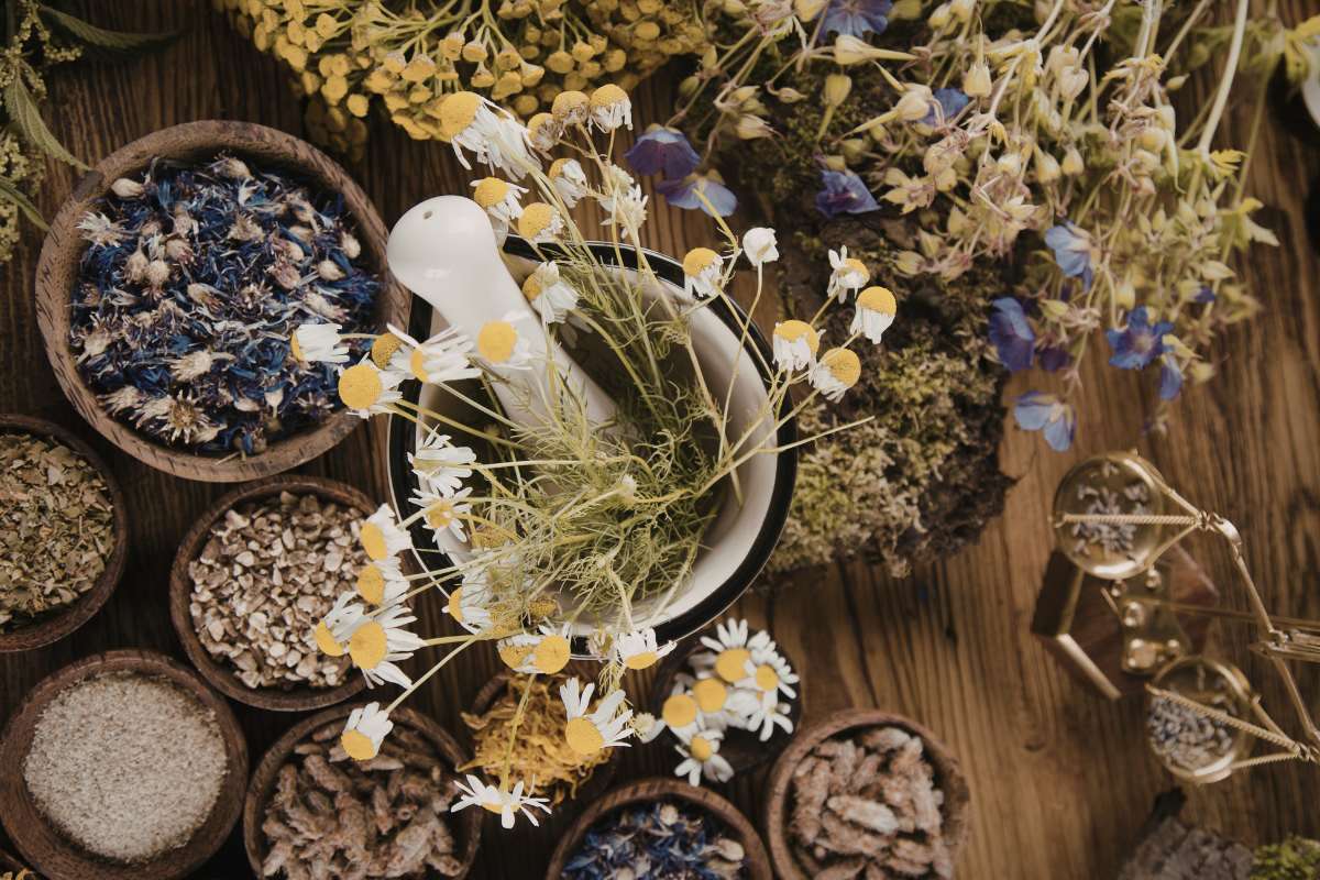 Sấy Gia Công Nông Sản Là Gì? Giải Pháp Gia Tăng Giá Trị Sau Thu Hoạch