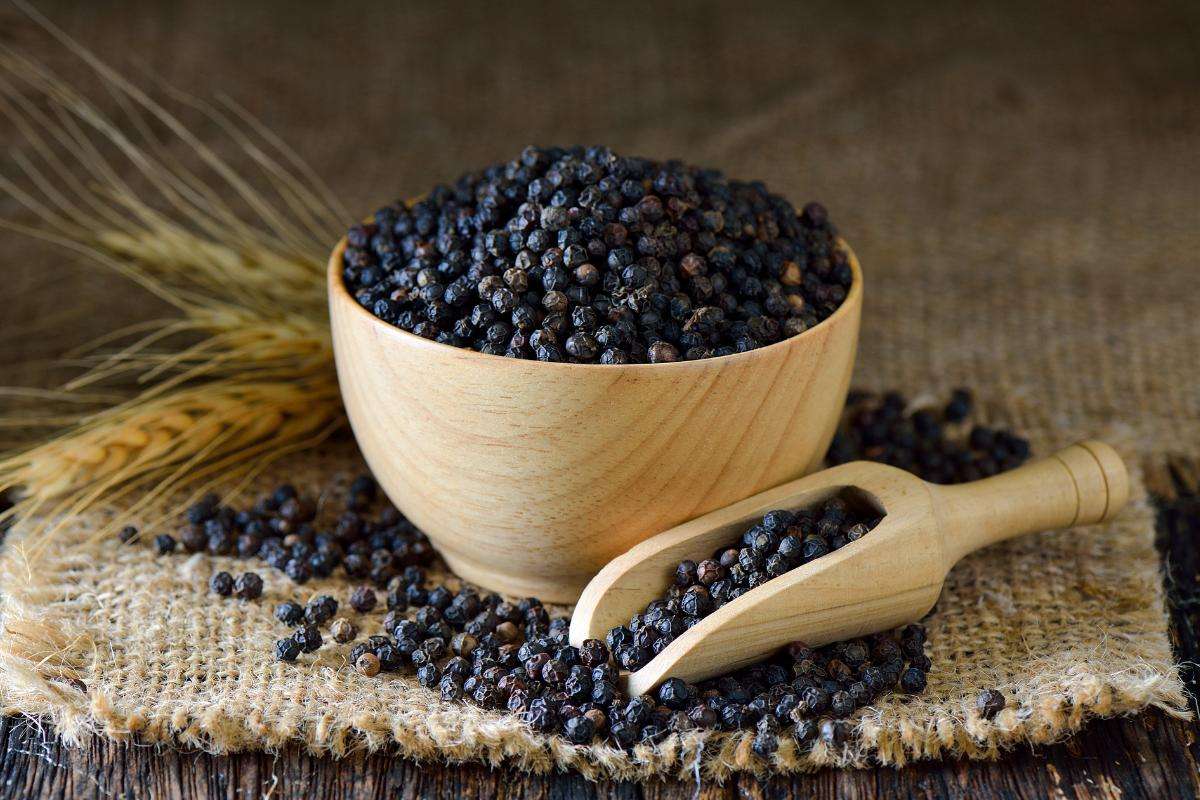 Sấy Gia Công Nông Sản Là Gì? Giải Pháp Gia Tăng Giá Trị Sau Thu Hoạch