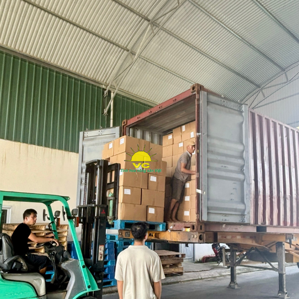 Vũ Công: Nhà Cung Cấp Nông Sản Số Lượng Lớn Ổn Định, Giá Tốt Cho Doanh Nghiệp