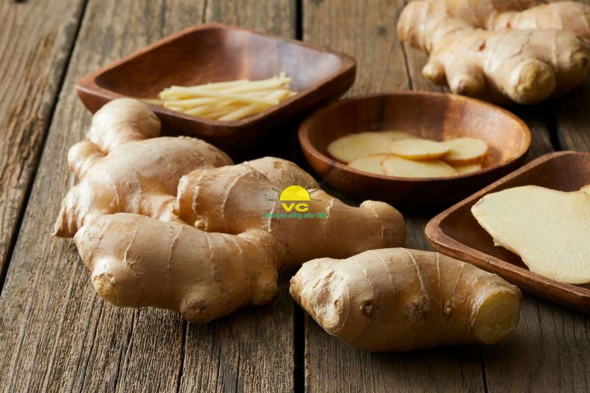 Gừng Sẻ Là Gì? Đặc Điểm & Giá Trị So Với Các Loại Gừng Khác