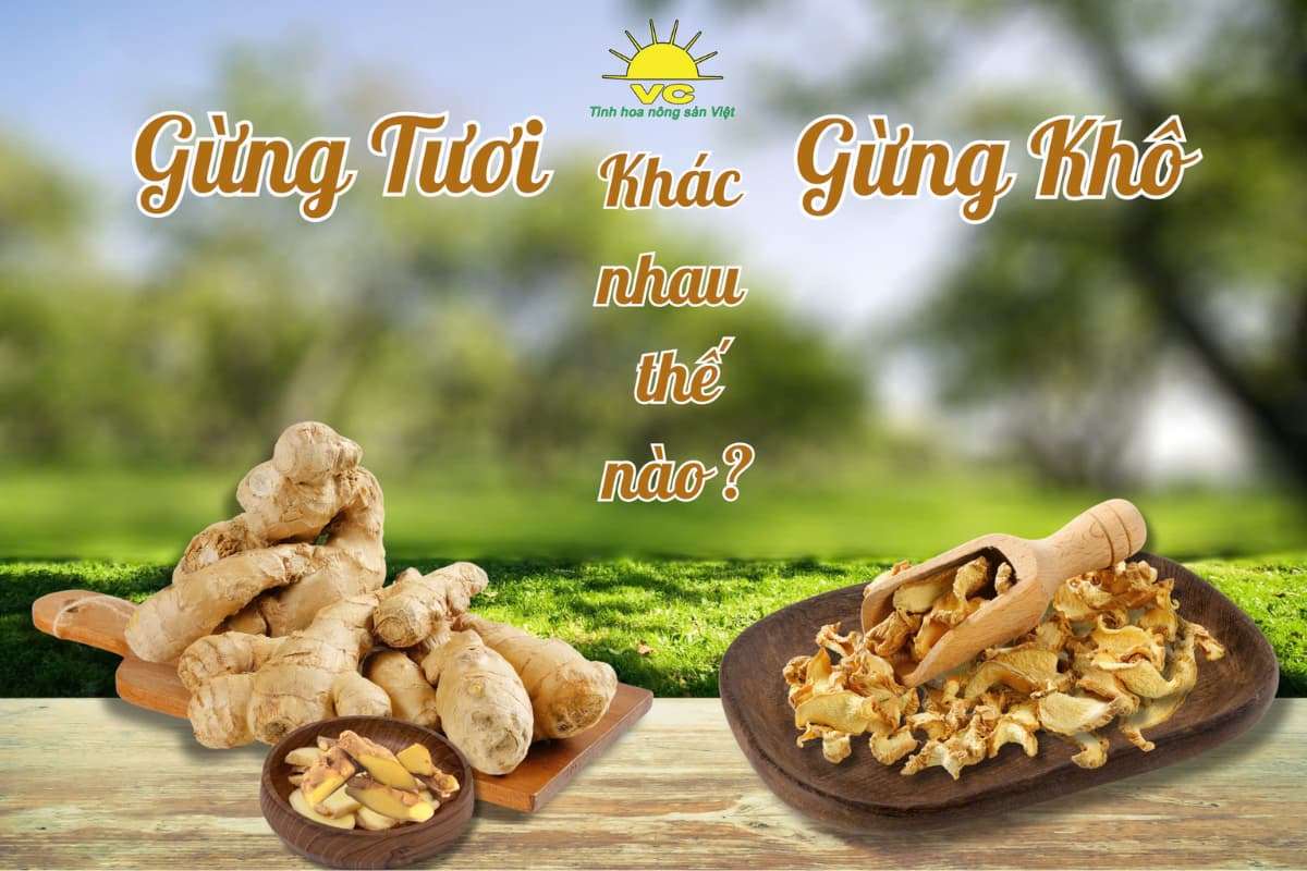 Gừng Thái Lát Sấy Khô Là Gì? Vai Trò Trong Thực Phẩm & Sức Khỏe