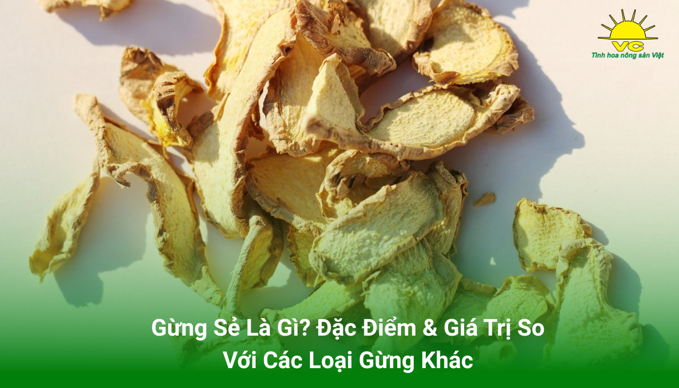 Gừng Sẻ Là Gì? Đặc Điểm & Giá Trị So Với Các Loại Gừng Khác