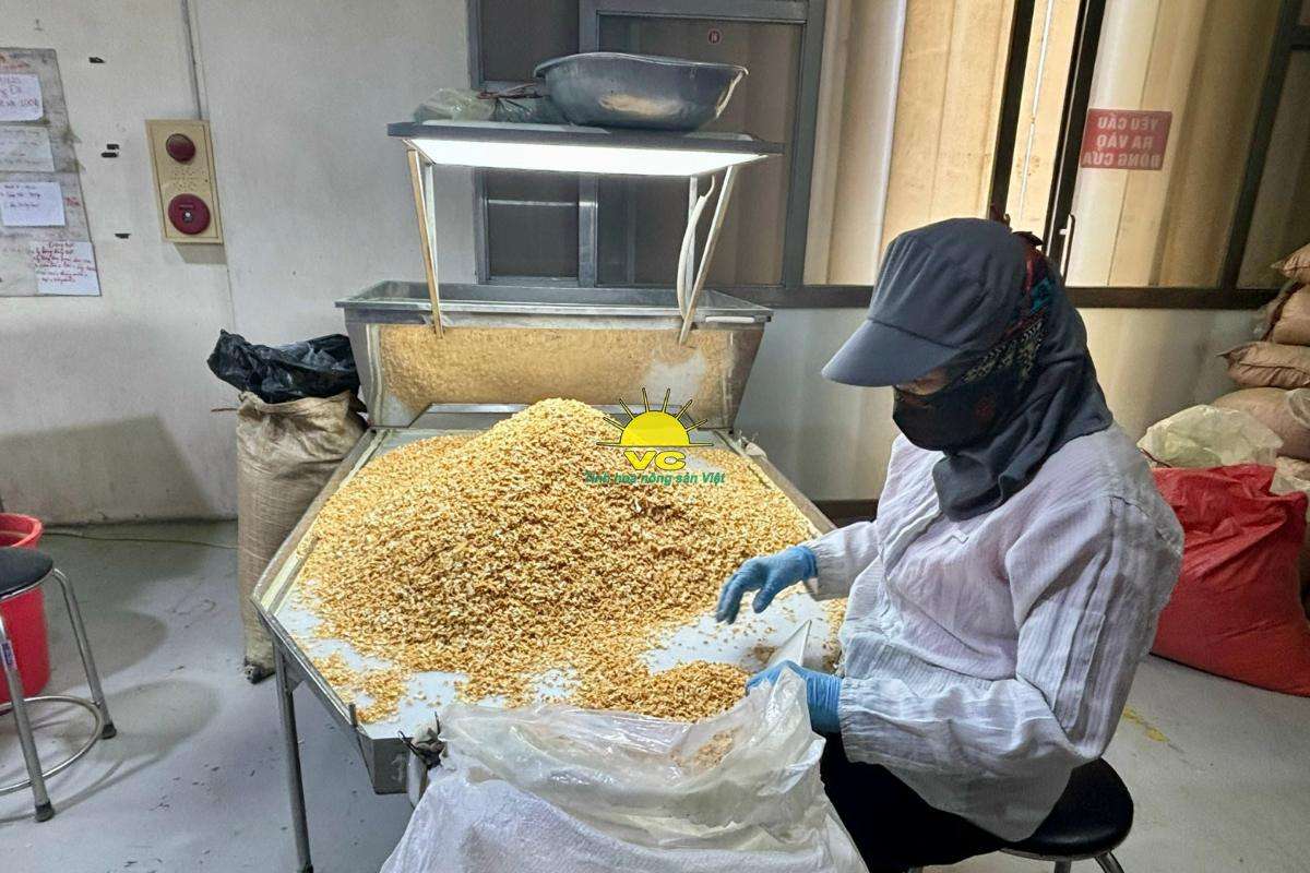 Nông sản chế biến Vũ Công vươn tầm quốc tế như thế nào?