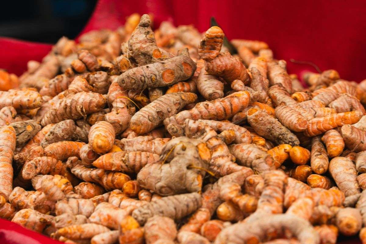 Nghệ Đỏ Là Gì? Công Dụng Và Cách Sử Dụng Nghệ Đỏ Đúng, An Toàn