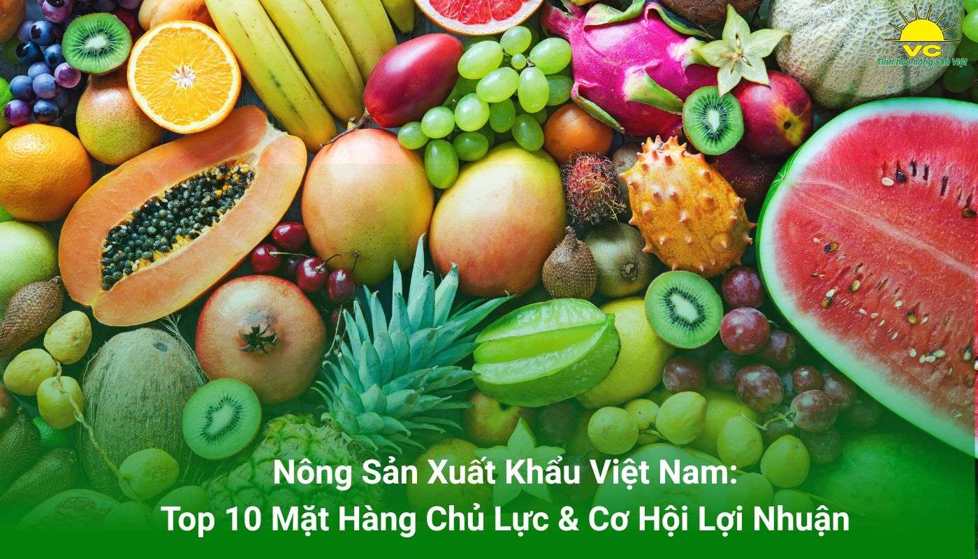 Nông Sản Xuất Khẩu Việt Nam: Top 10 Mặt Hàng Chủ Lực & Cơ Hội Lợi Nhuận
