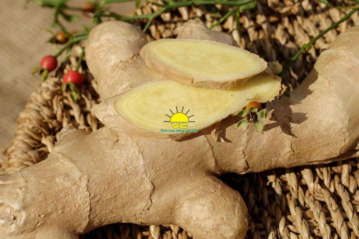Bột Gừng Nguyên Chất – Tinh Hoa Từ Những Củ Gừng Tươi