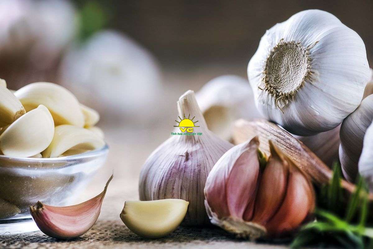 Tỏi tía là gì? Vì sao là loại tỏi “đặc biệt” tại Việt Nam?