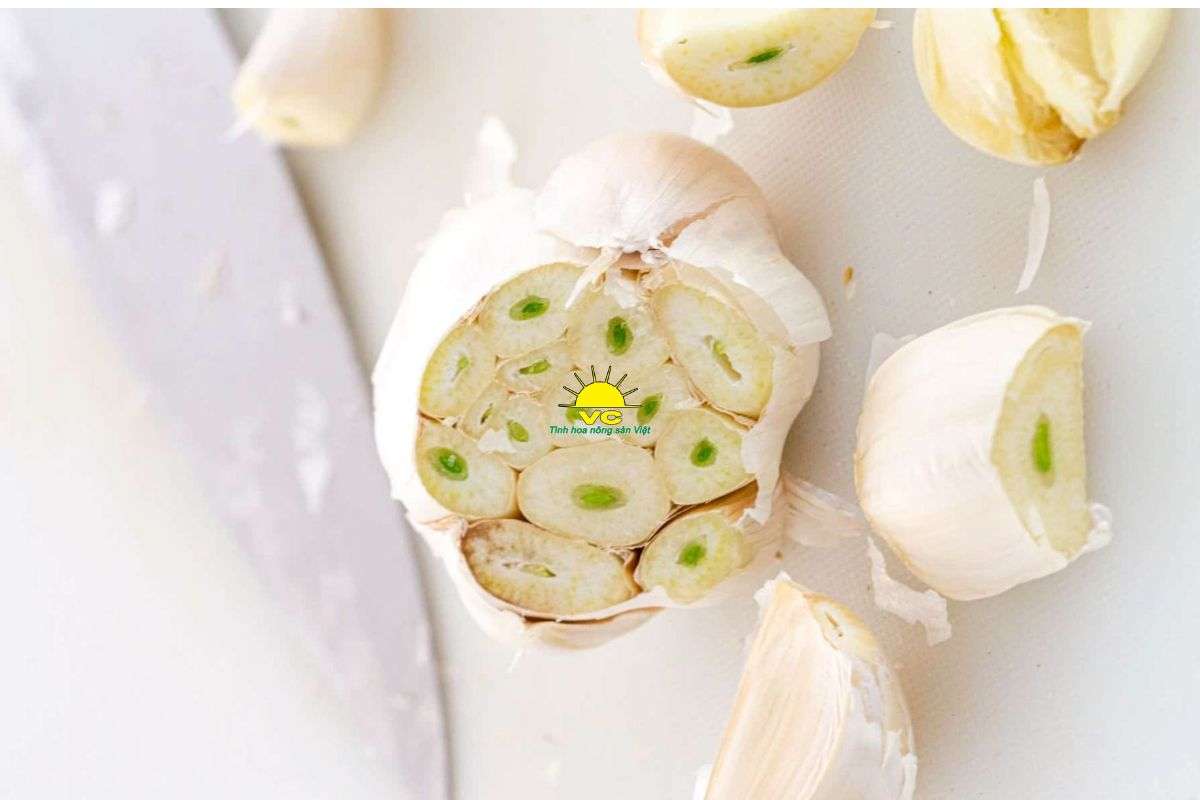 Tỏi mọc mầm có ăn được không? Phân biệt tỏi mọc mầm và tỏi bị mốc