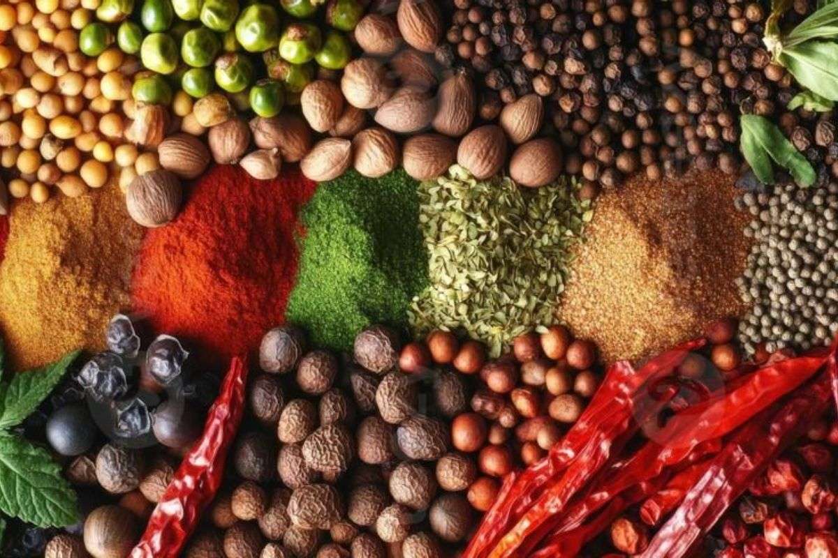 Công ty Vũ Công góp phần giải bài toán “được mùa mất giá” cho nông dân như thế nào?