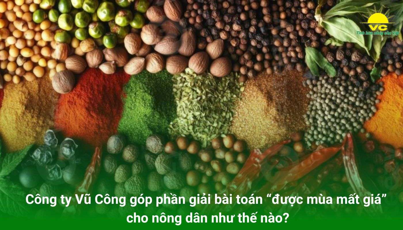 Công ty Vũ Công góp phần giải bài toán “được mùa mất giá” cho nông dân như thế nào?